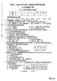 河南驻马店市汝南县2025-2026学年九年级上学期期末考试化学试卷
