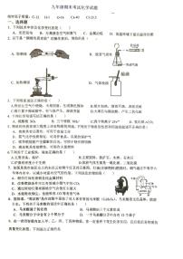 江苏省徐州市沛县沛县实验学校联盟学区2025-2026学年九年级上学期1月期末化学试题