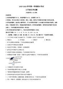 山东省德州市齐河县2025-2026学年九年级上学期期末考试化学试题（试卷+解析）