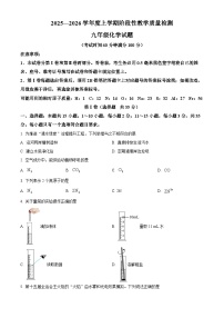 山东省临沂市莒南县2025-2026学年九年级上学期1月期末化学试题（试卷+解析）