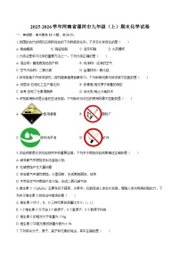 2025-2026学年河南省漯河市九年级（上）期末化学试卷-自定义类型