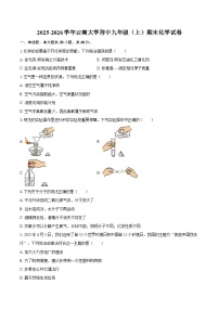2025-2026学年云南大学附中九年级(上)期末化学试卷-自定义类型