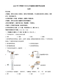 湖南省长沙市宁乡市2025-2026学年九年级上学期1月期末联考化学试题（试卷+解析）