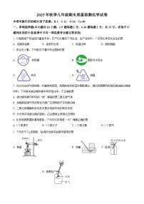 江西省新余市分宜县2025-2026学年九年级上学期1月期末考试化学试题（试卷+解析）