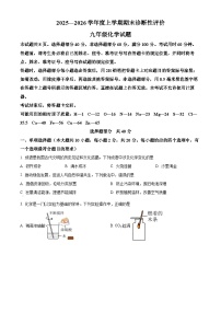 山东省济南市钢城区2025-2026学年九年级上学期1月期末化学试题（试卷+解析）