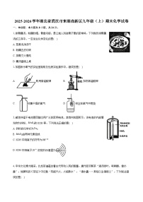 2025-2026学年湖北省武汉市东湖高新区九年级（上）期末化学试卷（含答案+解析）