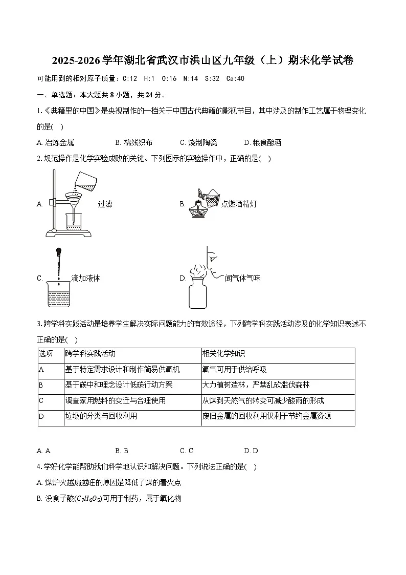 2025-2026学年湖北省武汉市洪山区九年级(上)期末化学试卷(含答案+解析)第1页