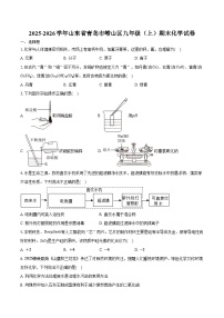 2025-2026学年山东省青岛市崂山区九年级（上）期末化学试卷（含答案）