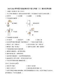2025-2026学年四川省宜宾市长宁县九年级(上)期末化学试卷(含答案)