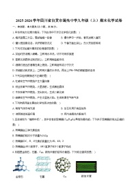 2025-2026学年四川省自贡市蜀光中学九年级（上）期末化学试卷（含答案）