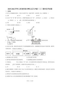 2025-2026学年山东省青岛市崂山区九年级（上）期末化学试卷（含答案）