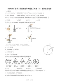 2025-2026学年山东省潍坊市诸城市八年级（上）期末化学试卷（含答案）