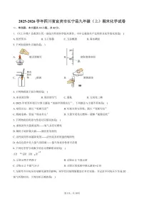 2025-2026学年四川省宜宾市长宁县九年级(上)期末化学试卷(含答案)