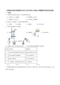 甘肃省定西市2025-2026学年九年级上学期期末考试化学试卷(含答案)