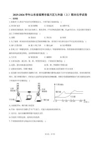山东省淄博市淄川区2025-2026学年九年级（上）期末化学试卷（含答案）
