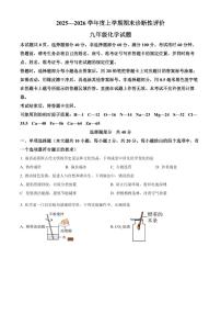 山东省济南市钢城区2025-2026学年九年级上学期1月期末化学试题（试卷+解析）