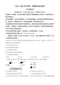 广东省河源市紫金县2025-2026学年九年级上学期化学期末测试题（试卷+解析）