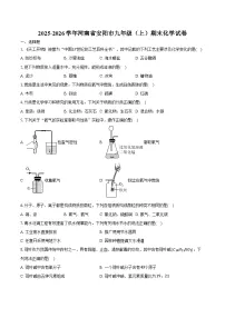 2025-2026学年河南省安阳市九年级（上）期末化学试卷（含答案）