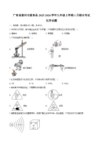 广东省惠州市惠东县2025-2026学年九年级上学期1月期末考试化学试卷（含答案）