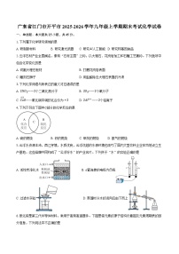 广东省江门市开平市2025-2026学年九年级上学期期末考试化学试卷（含答案）