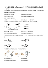 广东省河源市紫金县2025-2026学年九年级上学期化学期末测试卷（含答案）