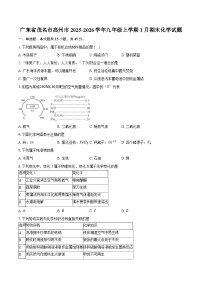 广东省茂名市高州市2025-2026学年九年级上学期1月期末化学试卷（含答案）