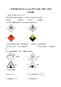 广东省河源市连平县2025-2026学年九年级上学期1月期末化学试卷（含答案）