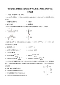 江苏省宿迁市宿城区2025-2026学年九年级上学期1月期末化学试卷（含答案）