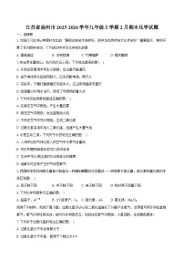 江苏省扬州市2025-2026学年九年级上学期2月期末化学试卷（含答案）