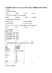 江苏省镇江市扬中市2025-2026学年九年级上学期期末考试化学试卷（含答案）