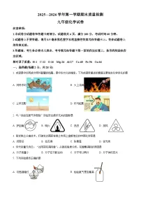 河南省洛阳市2025-2026学年九年级上学期期末考试化学试题（试卷+解析）