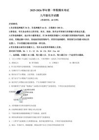 山东省德州市齐河县2025-2026学年九年级上学期期末考试化学试题（试卷+解析）