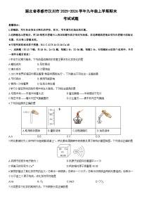 2025-2026学年湖北省孝感市汉川市九年级上学期期末考试化学试卷(学生版)