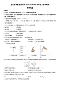 2025-2026学年湖北省孝感市汉川市九年级上学期期末考试化学试卷(学生版)