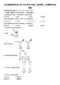 2025-2026学年山东省淄博市博山区九年级（五四学制）上学期期末考试化学试卷（学生版）