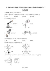 2025-2026学年广东省惠州市惠东县九年级上学期1月期末考试化学试卷（含答案）