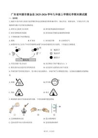 2025-2026学年广东省河源市紫金县九年级上学期化学期末测试卷（含答案）