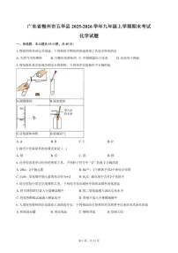 2025-2026学年广东省梅州市五华县九年级上学期1月期末考试化学A试卷(含答案)