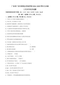 广东省广州市番禺区星执学校2024-2025学年九年级下学期开学化学试题含答案