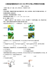 2025-2026学年云南省迪庆藏族自治州九年级上学期期末考试化学试卷（学生版）