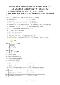 2025-2026学年广东省惠州市惠东县第一学期九年级化学期末自编卷（一）（含答案）