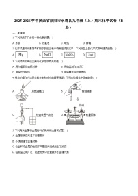 2025-2026学年陕西省咸阳市永寿县九年级（上）期末化学试卷（B卷）（含答案）