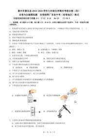 2025-2026学年广东省惠州市惠东县九年级上化学期末考前自测试卷（四）（含答案）