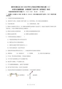 2025-2026学年广东省惠州市惠东县九年级上化学期末考前自测试卷（三）（含答案）