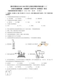 2025-2026学年广东省惠州市惠东县九年级上化学期末考前自测试卷（二）（含答案）
