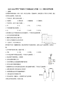 2025-2026学年广东省江门市新会区九年级（上）期末化学试卷（含答案）