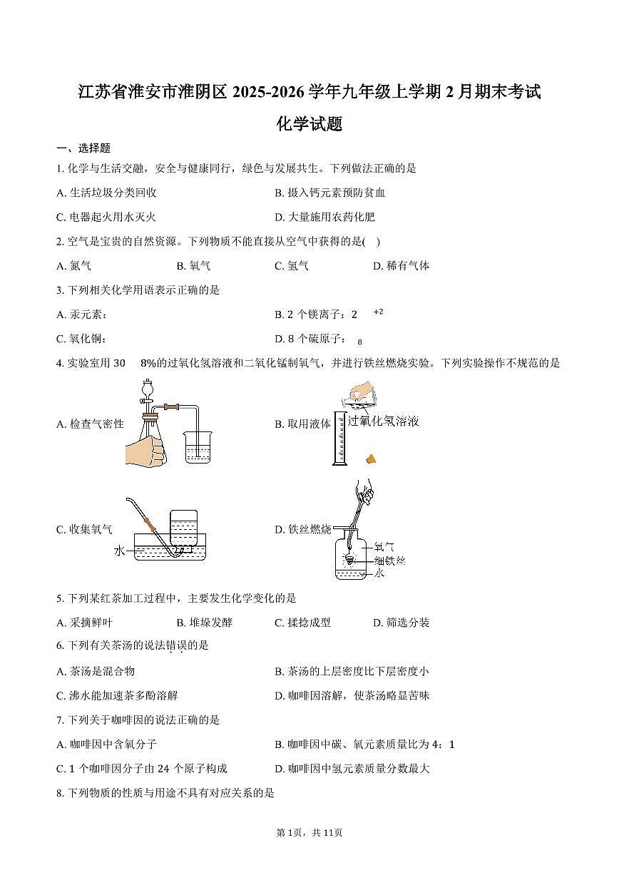 江苏省淮安市淮阴区2025-2026学年九年级上学期2月期末考试化学试卷(含答案)第1页