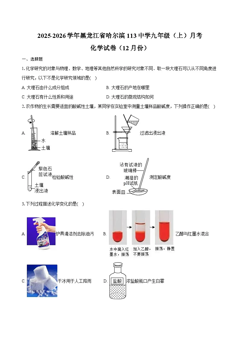 2025-2026学年黑龙江省哈尔滨113中学九年级(上)月考化学试卷(12月份)(含答案)第1页