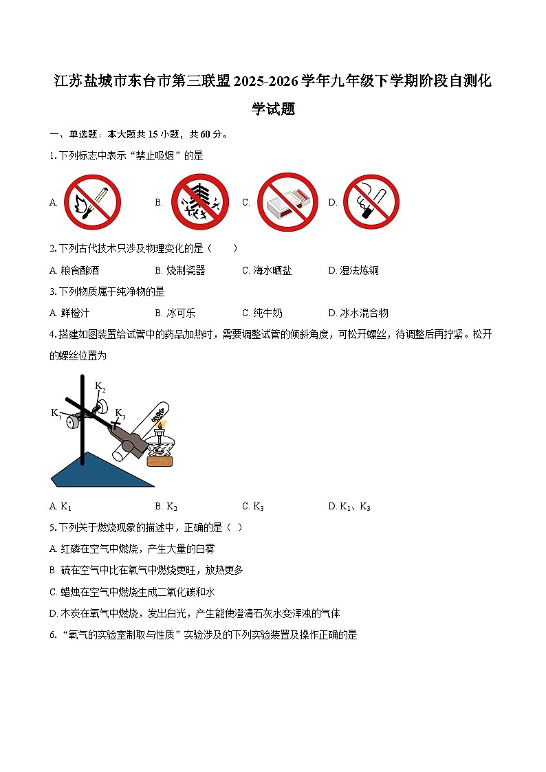 江苏盐城市东台市第三联盟2025-2026学年九年级下学期阶段自测化学试题-自定义类型第1页