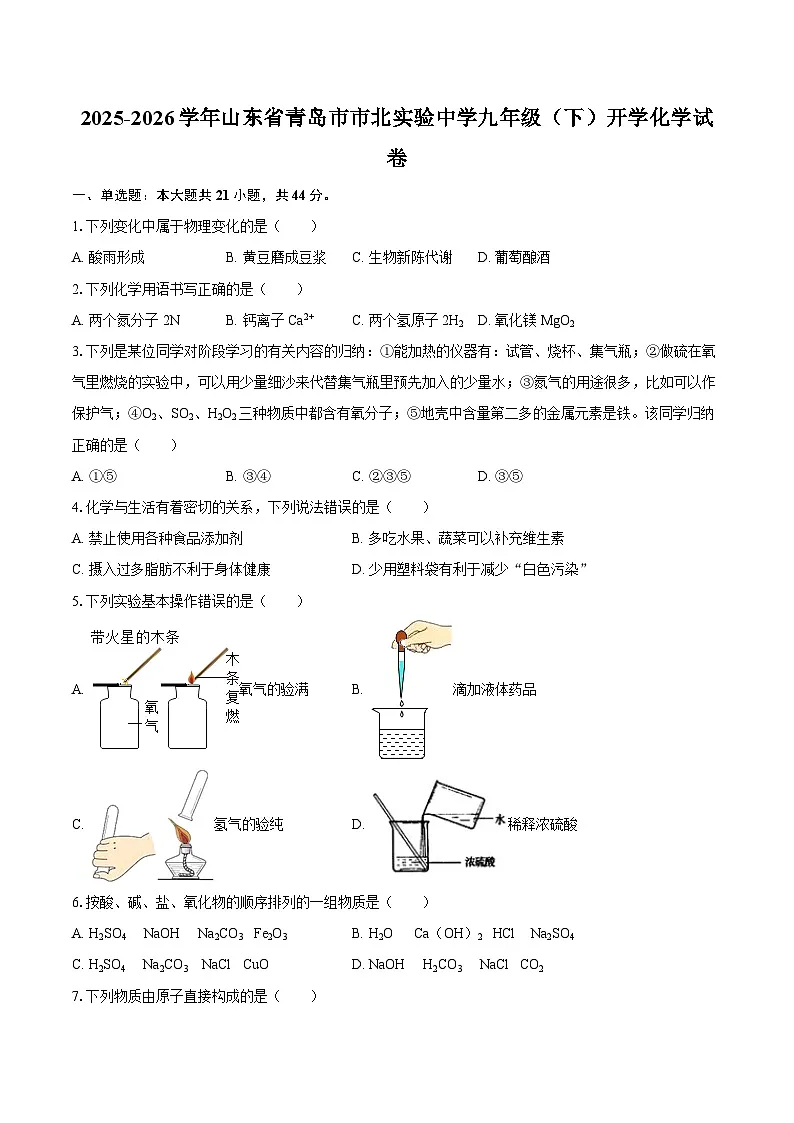 2025-2026学年山东省青岛市市北实验中学九年级(下)开学化学试卷-自定义类型第1页